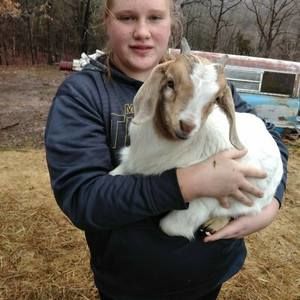 Meet your Posher, Jamie